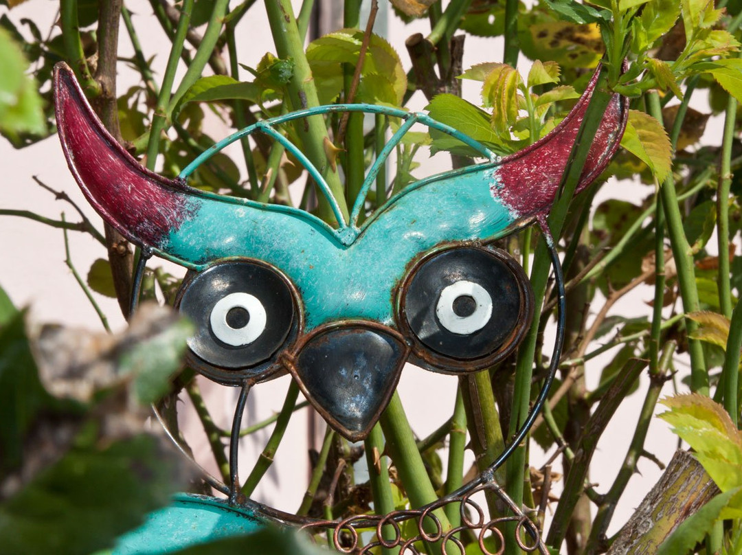 B&B La Gioia Dei Sensi主图