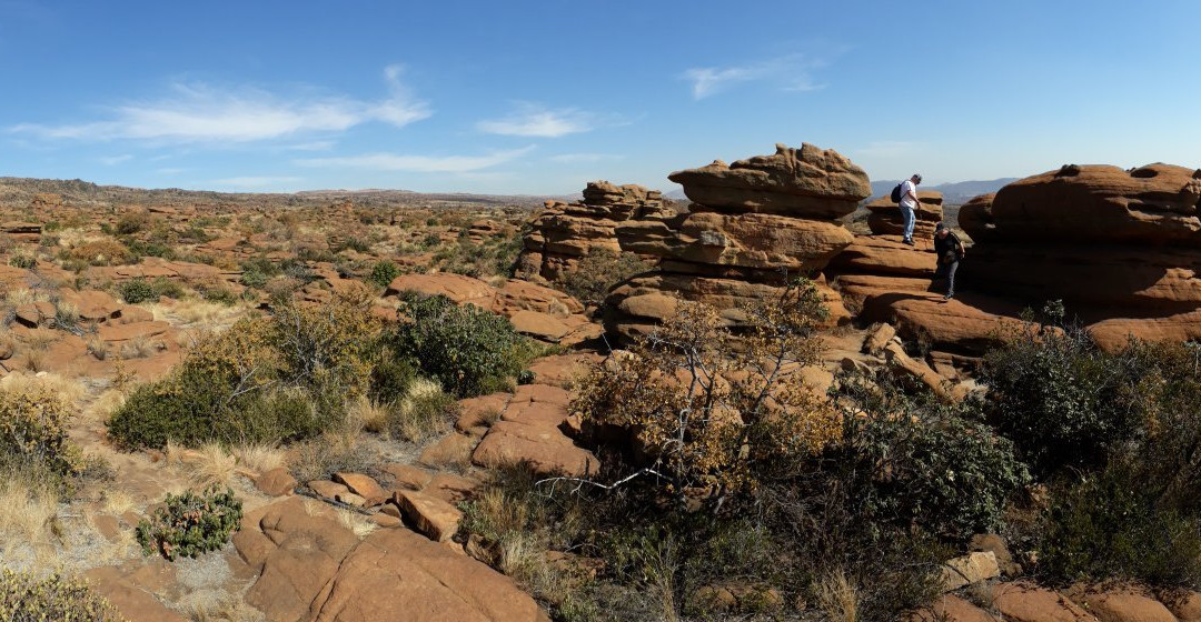 Mountain Sanctuary Park主图