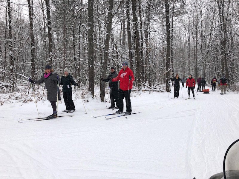 Driftwood Resort主图