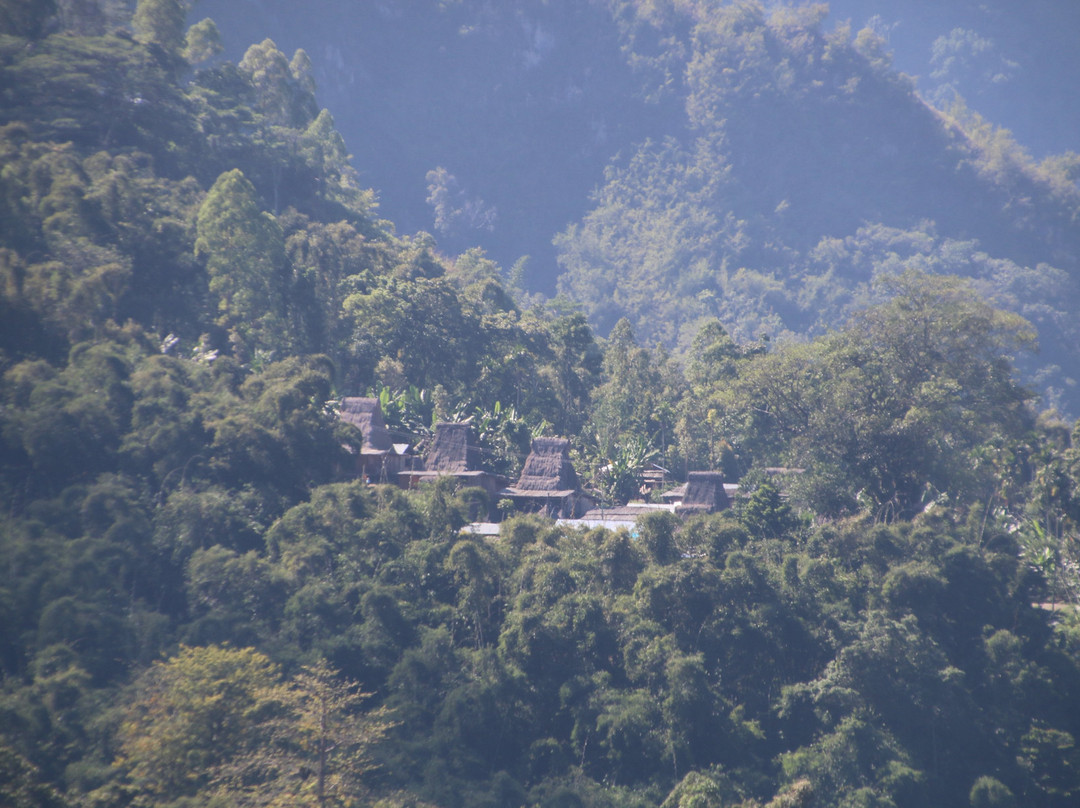 Manulalu Bed and Breakfast主图