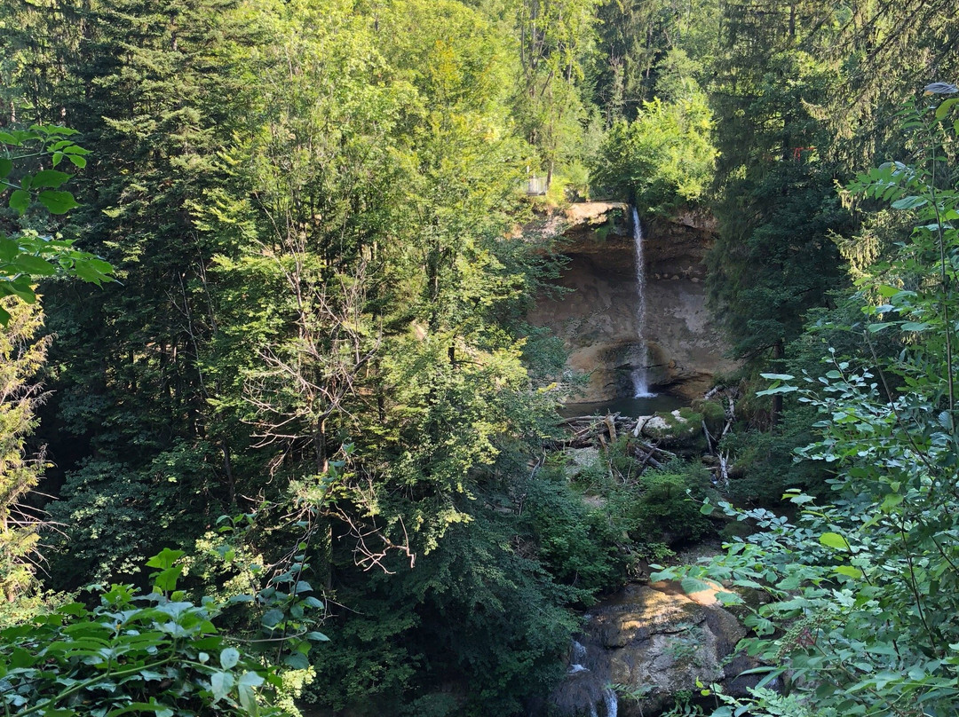 Scheidegg旅游攻略图片