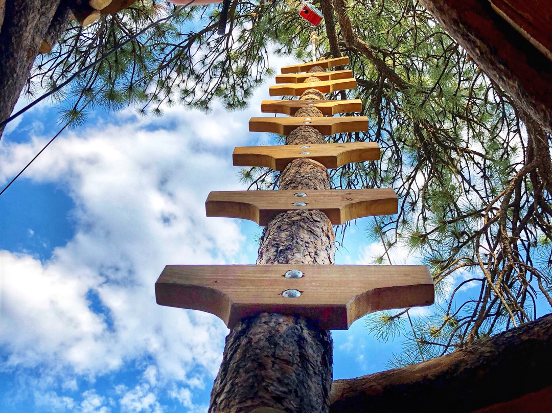 Treehouse Adventure Park-Bailey必去景点