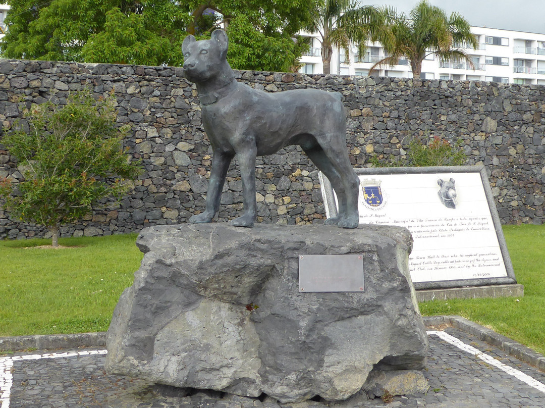 Sao Miguel Cattle Dog Statue景点图片