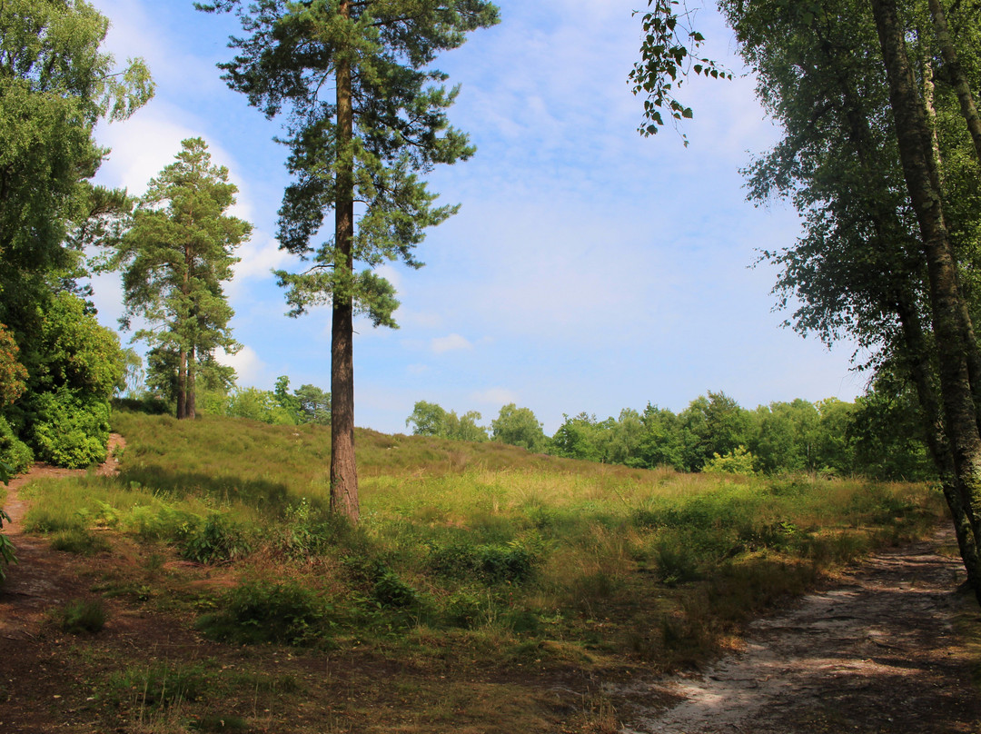 Sandgate Park-Storrington必去景点