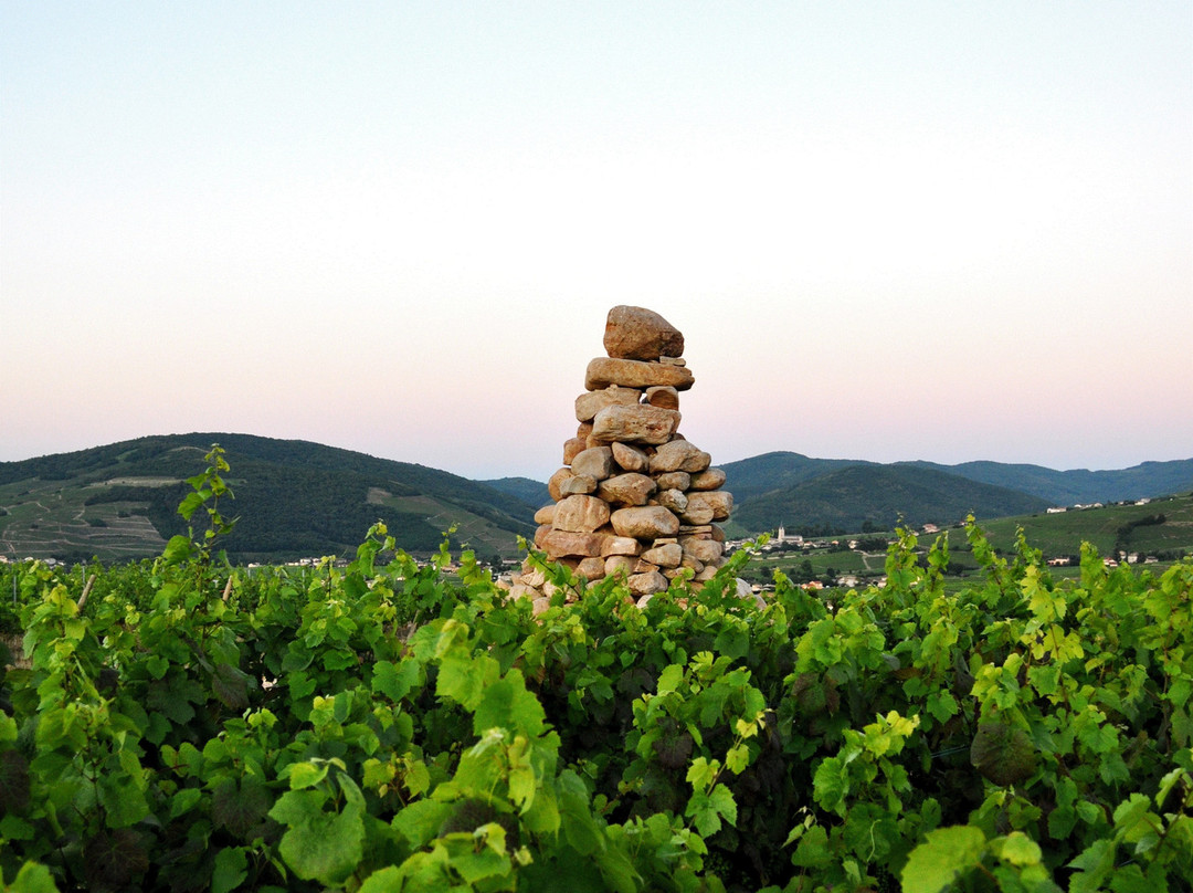 UNESCO Global Geopark du Beaujolais景点图片
