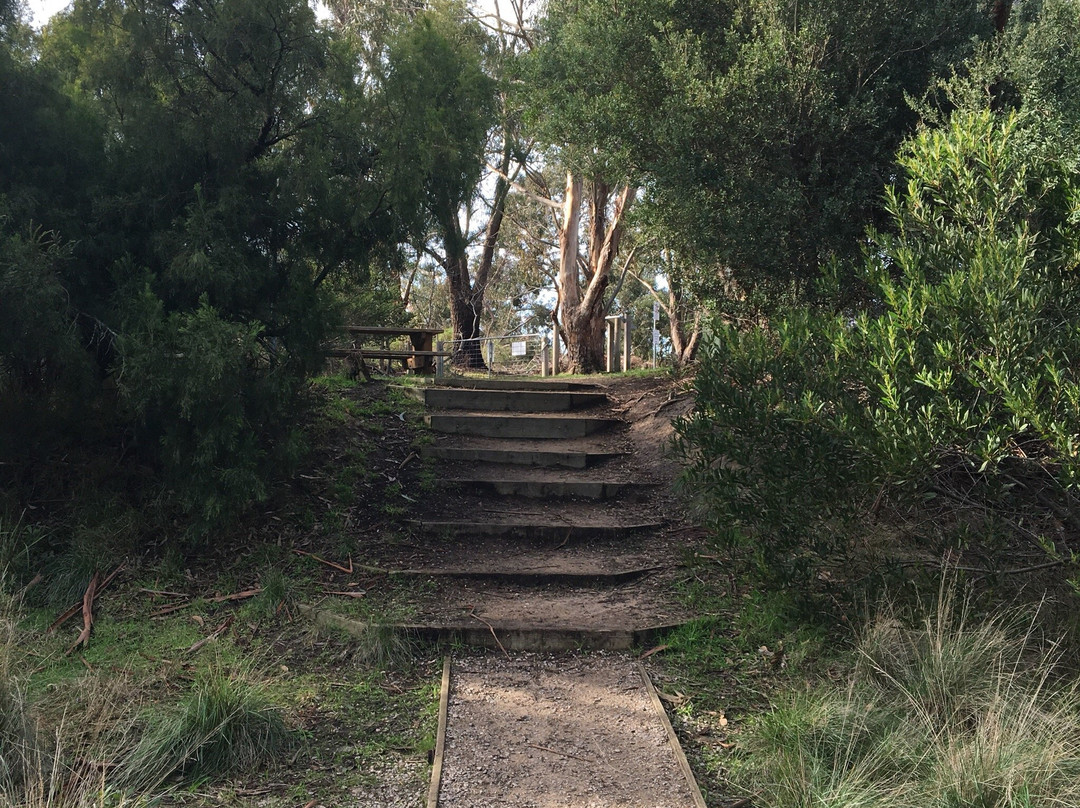 Uralla Reserve Dog Off Leash Area景点图片