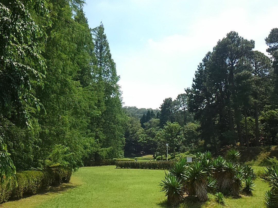 Botanical Gardens Faculty of Science Osaka City University-交野市必去景点