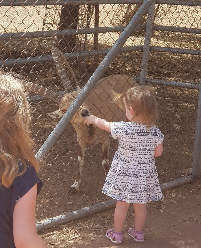 Negev Zoo-贝尔谢巴必去景点