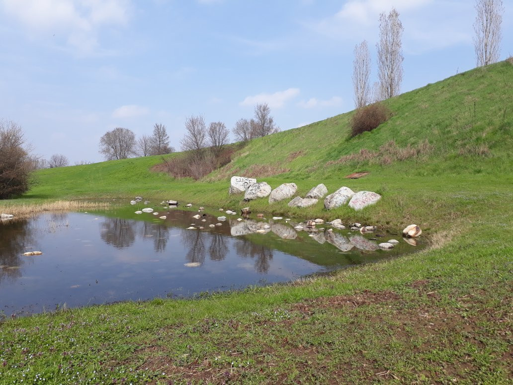 Parco della Media Valle del Lambro景点图片