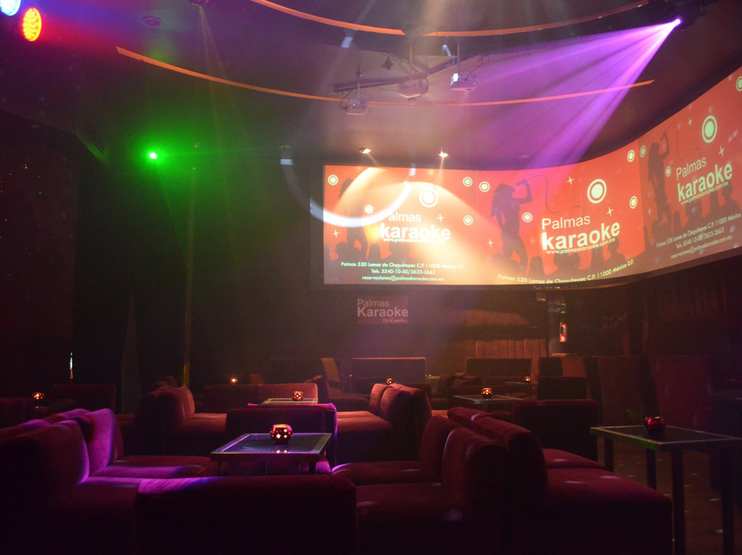 Palmas karaoke-墨西哥城必去景点
