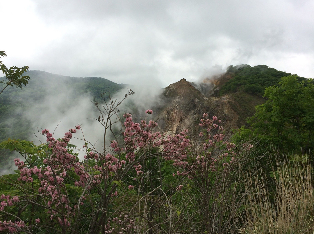 Hiyoriyama Viewing Platform-登别市必去景点