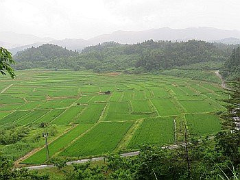 Kunugidaira Rice Terraces景点图片