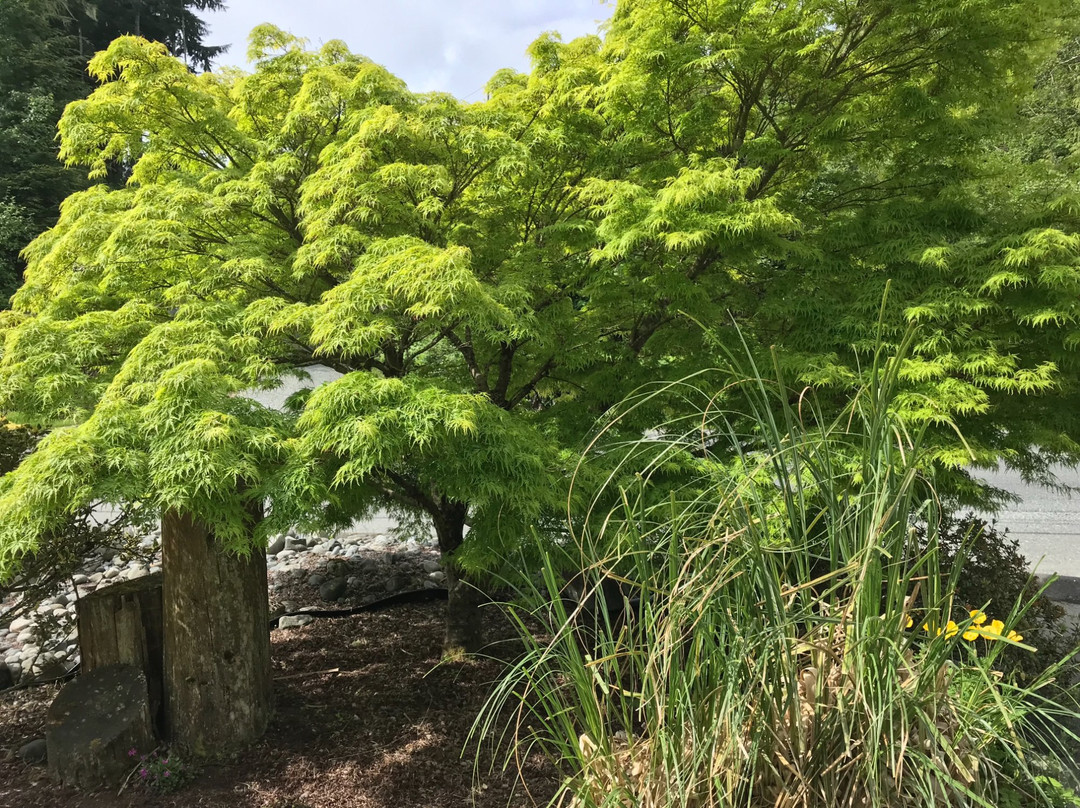 Quarterdeck Inn & Marina Resort主图