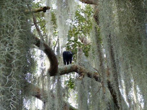 Laguna el Sonso-Buga必去景点