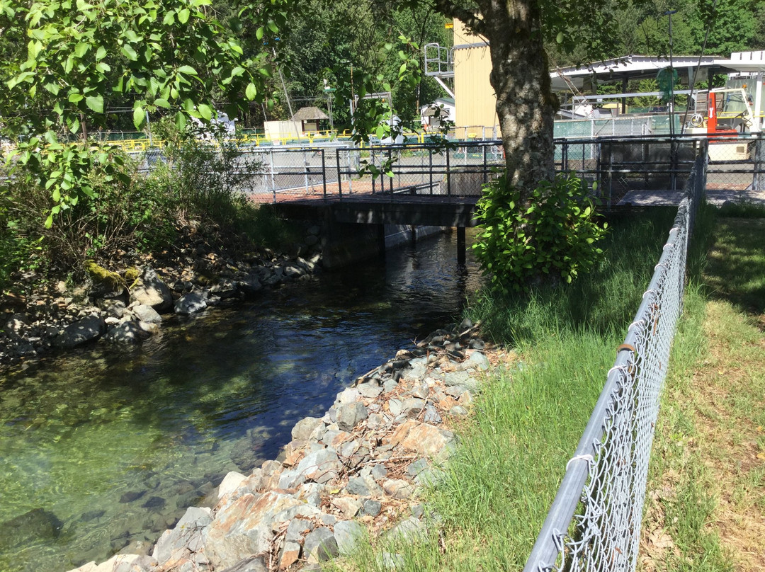 Chehalis River Salmon and Trout Enhancement Facility-阿加斯市必去景点