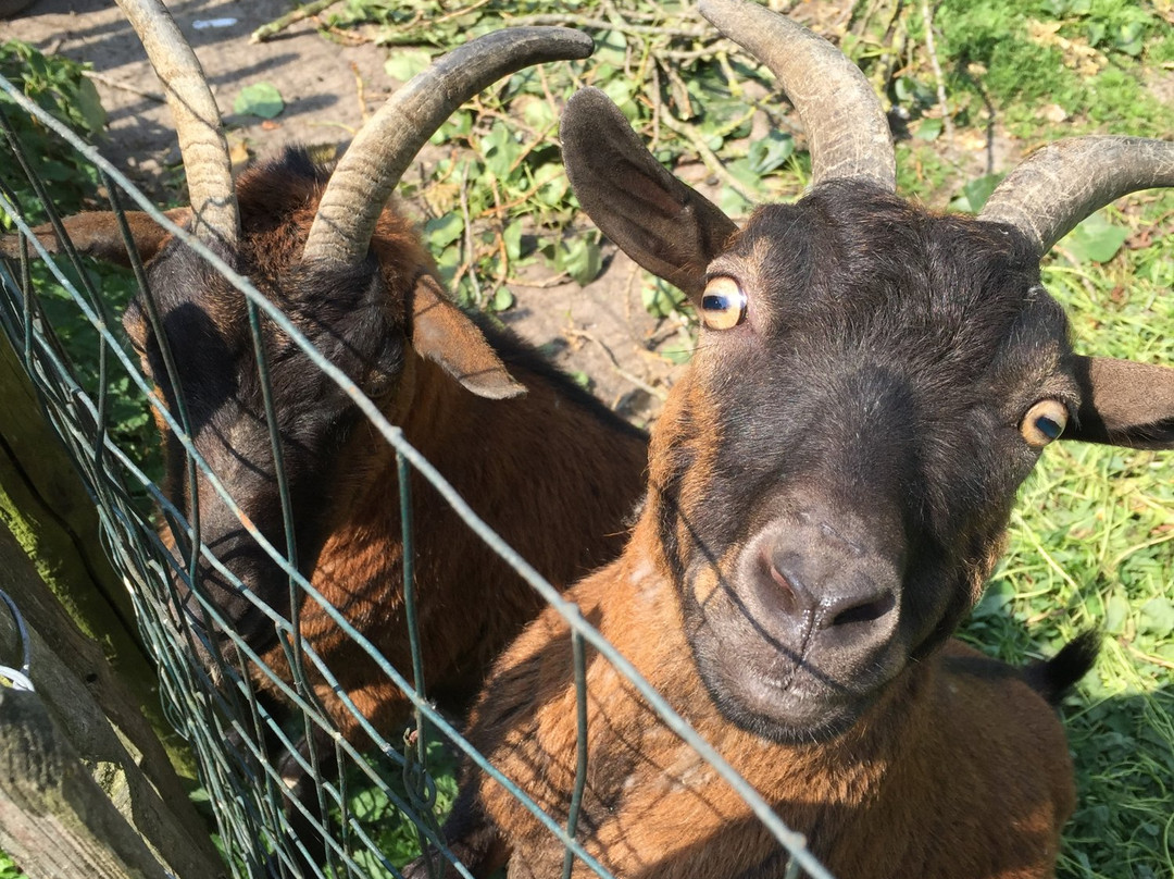 Logement Doosje主图