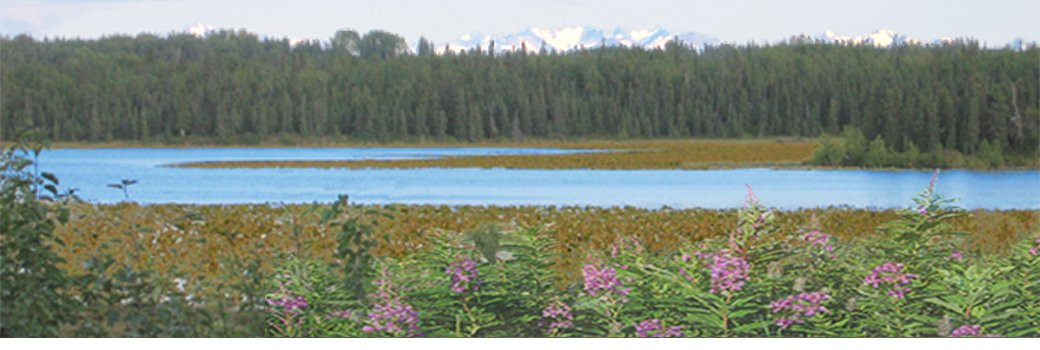 Kasilof RV Park