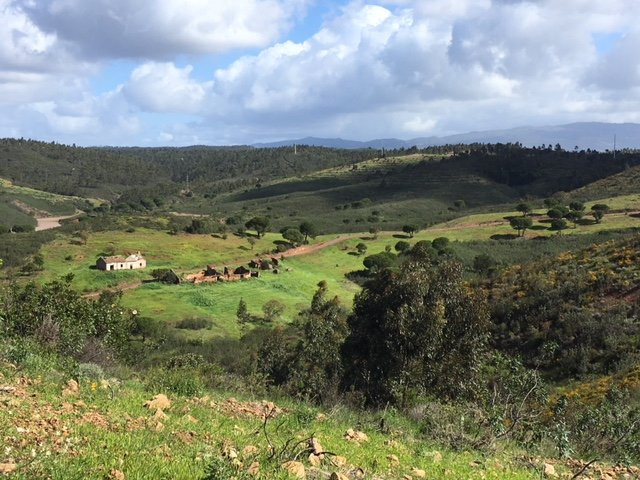 Portugal Walks景点图片