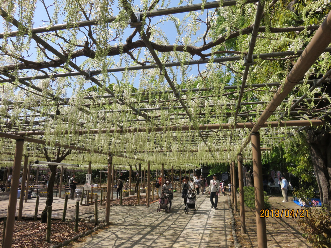 Mandaraji Park景点图片