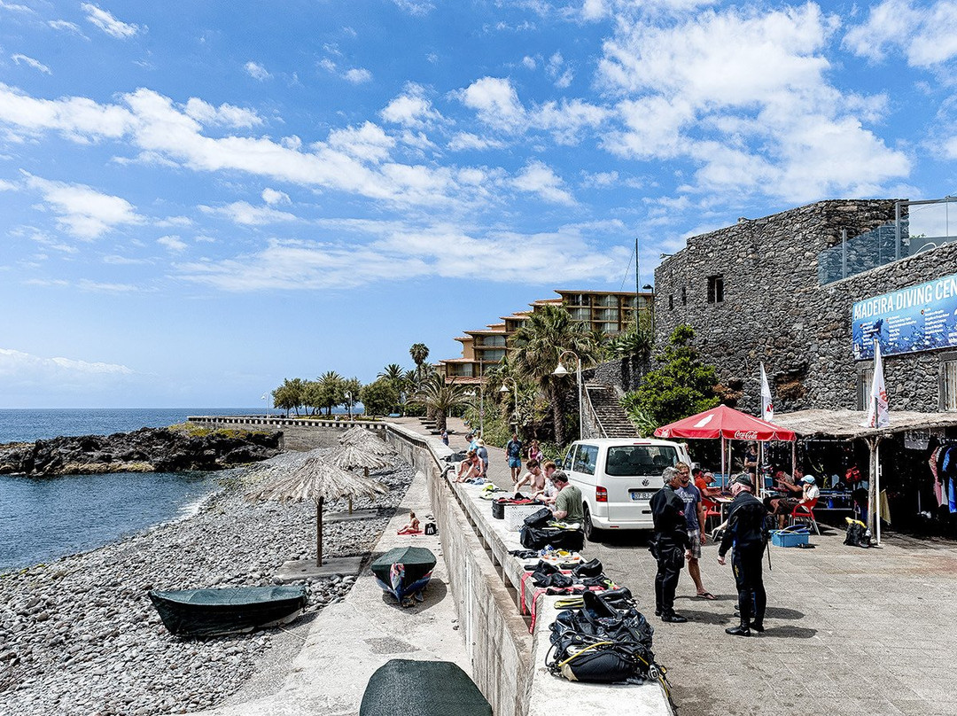Madeira Diving Center-Canico必去景点