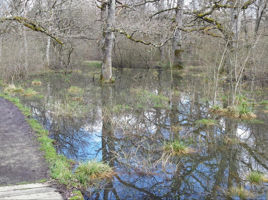 Bosque de Orgi-Lizaso必去景点