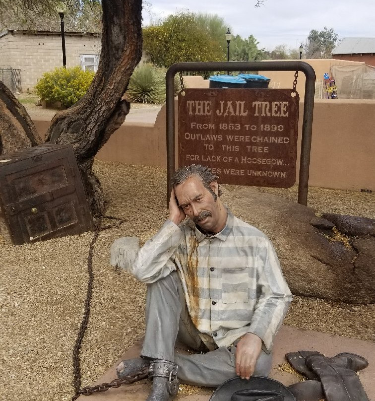 The Jail Tree-Wickenburg必去景点