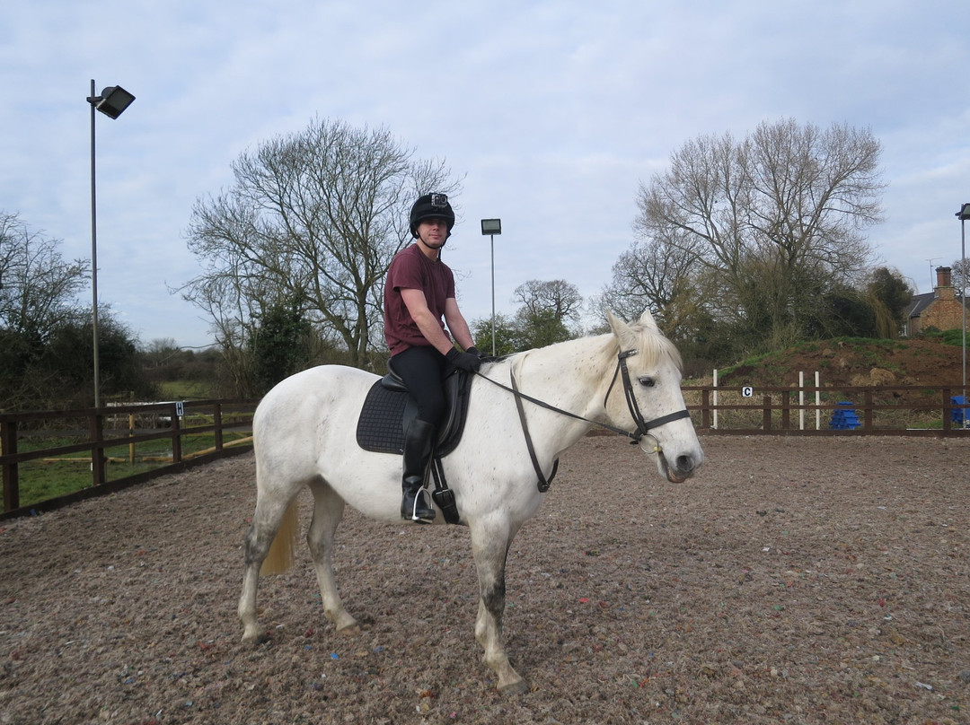 Ride High Equestrian Centre景点图片