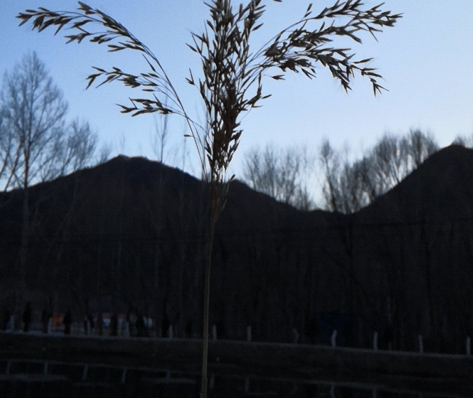 桃花山-灵丘县必去景点