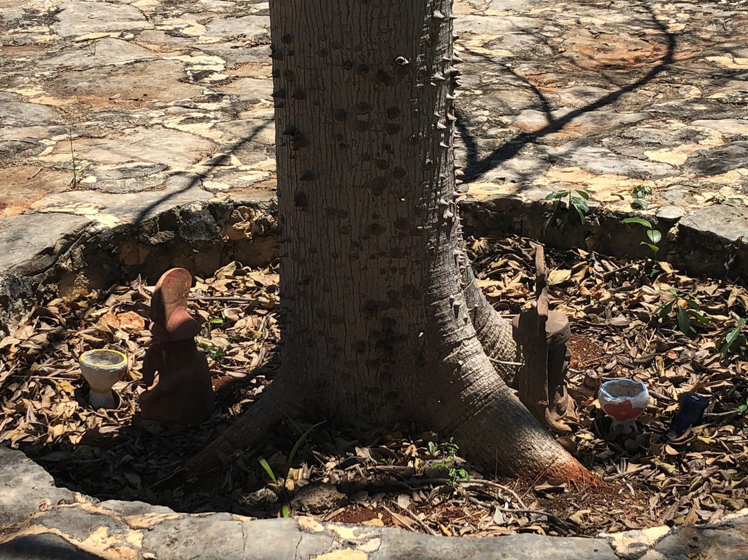 Museo Becal-坎佩切州必去景点