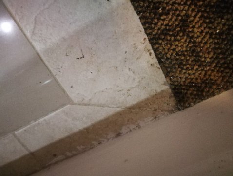 假日皇宫酒店-官方