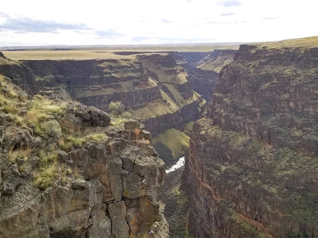 Bruneau Canyon景点图片