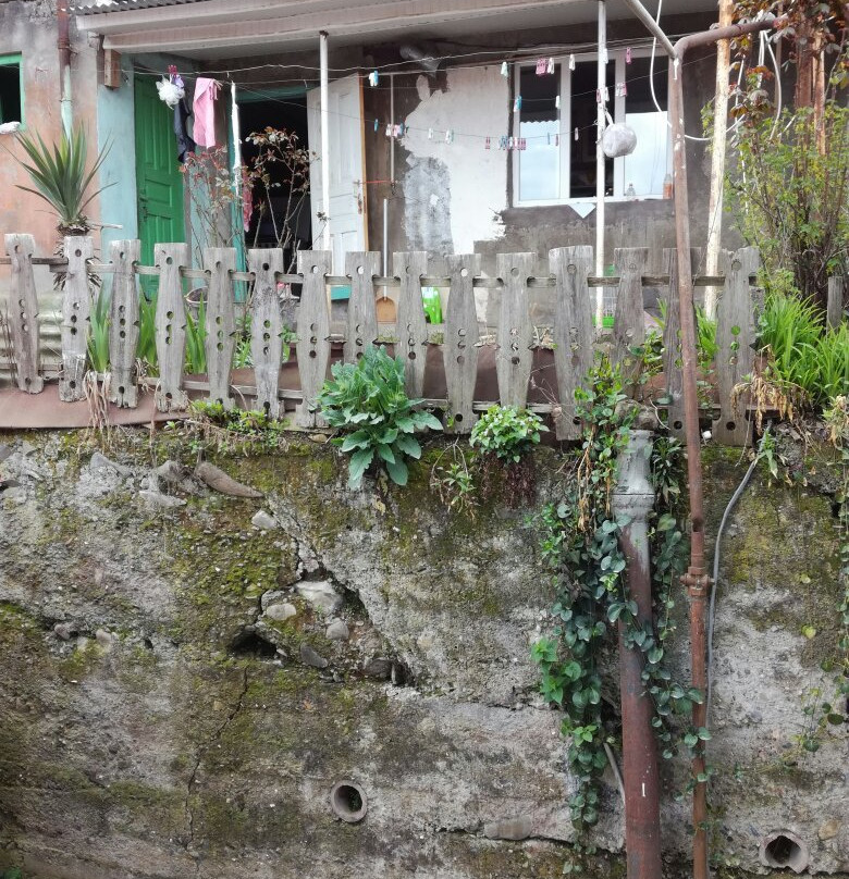 Guesthouse Honeymoon主图