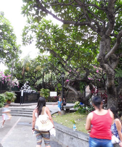 Plaza de Santa Isabel景点门票图片