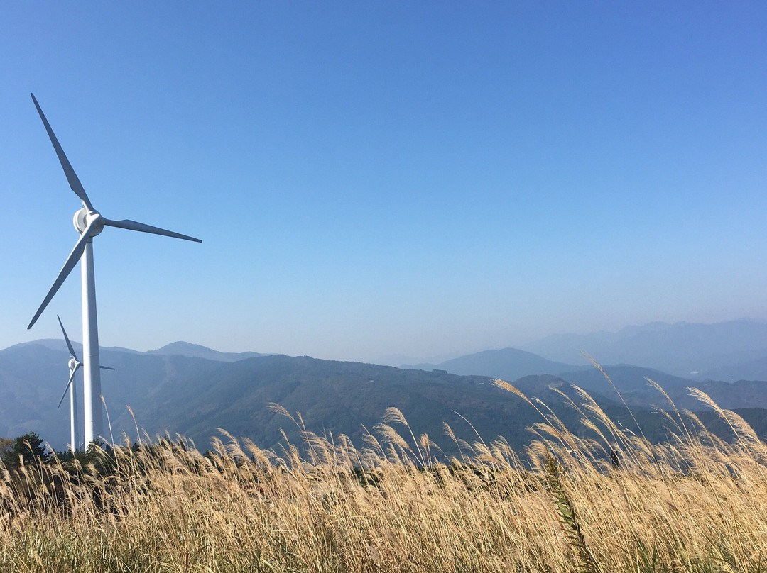 Yutorist Park Otoyo-大豊町必去景点