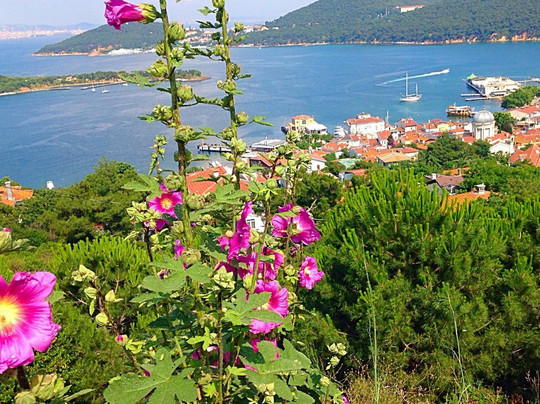 Burgazada旅游攻略图片