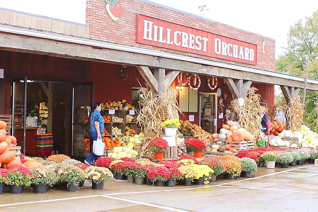 Hillcrest Orchard景点图片