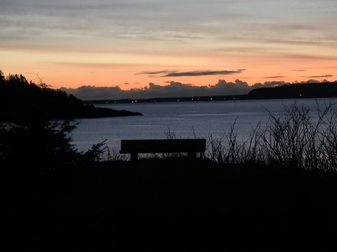 Jags Beanstalk主图