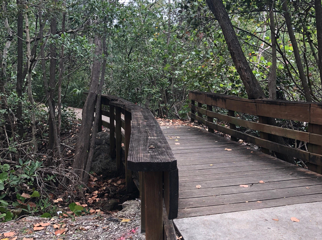 Greynolds Park-北迈阿密海滩必去景点