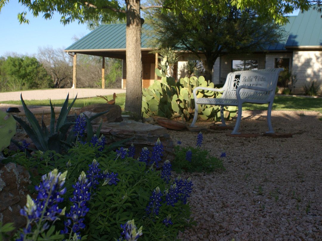 Bella Vista on Lake Travis主图