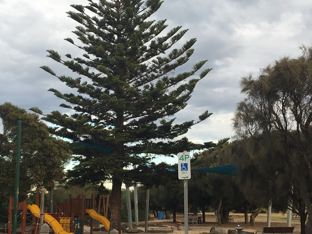 Sandringham Playground-Sandringham必去景点