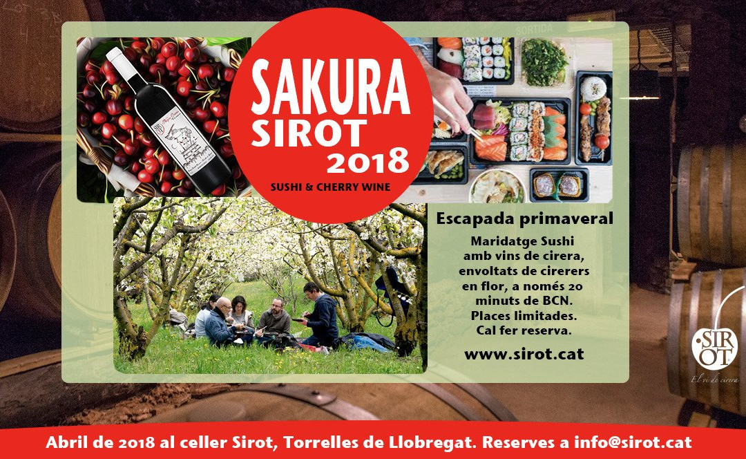 Bodega Sirot-托雷利亚斯-德略布雷加特必去景点