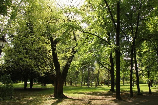 Zemunski Park景点图片