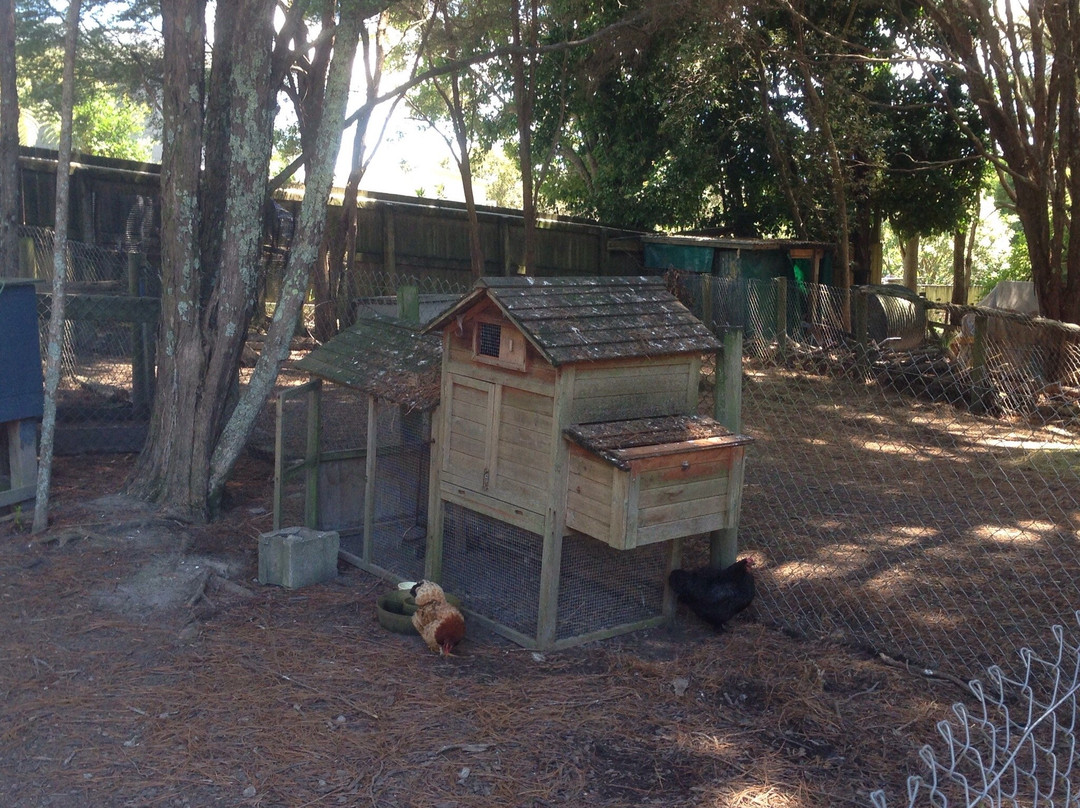 Whangaparaoa Narrow Gauge Railway-旺阿帕劳阿必去景点