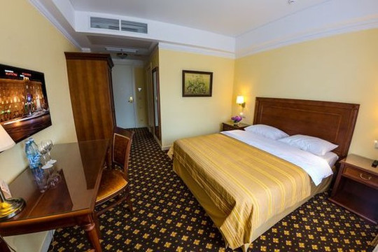 伏尔加格勒酒店主图