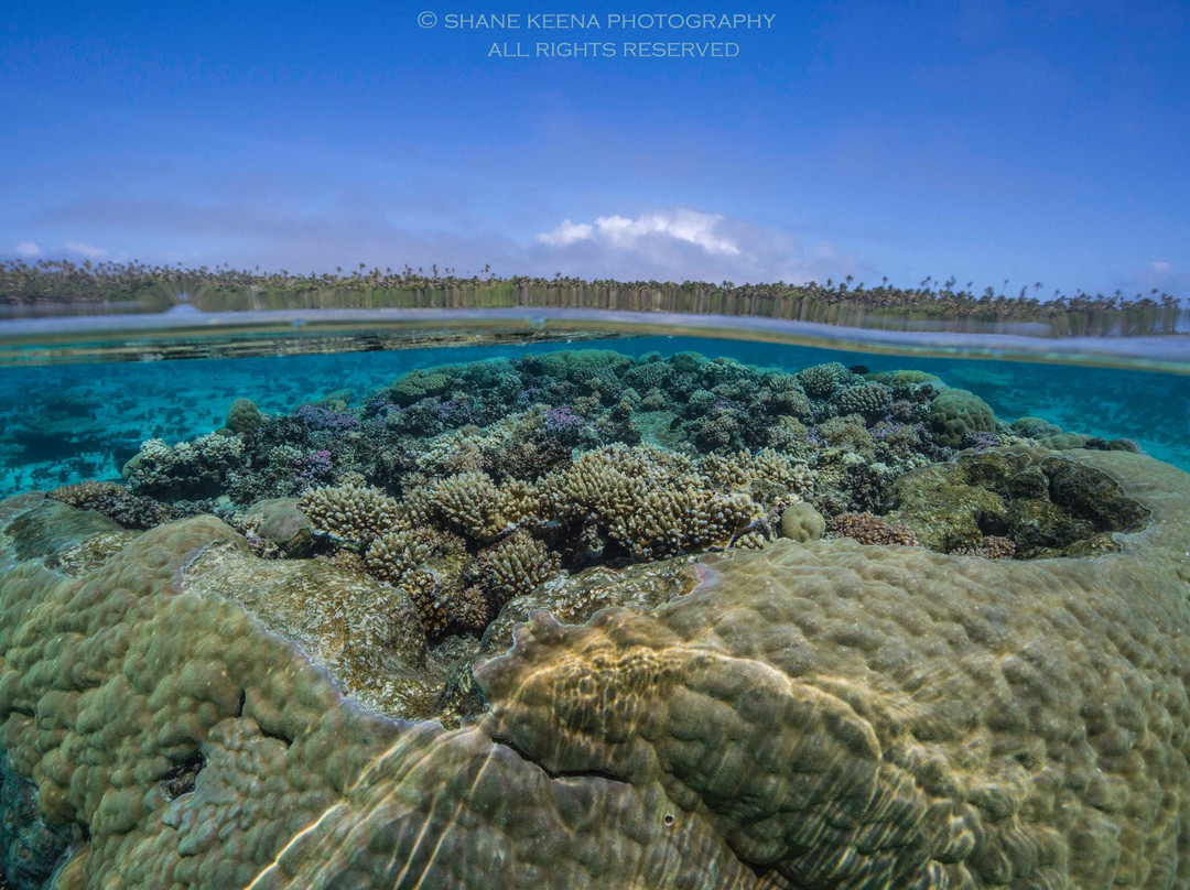 Matafonua Lodge主图