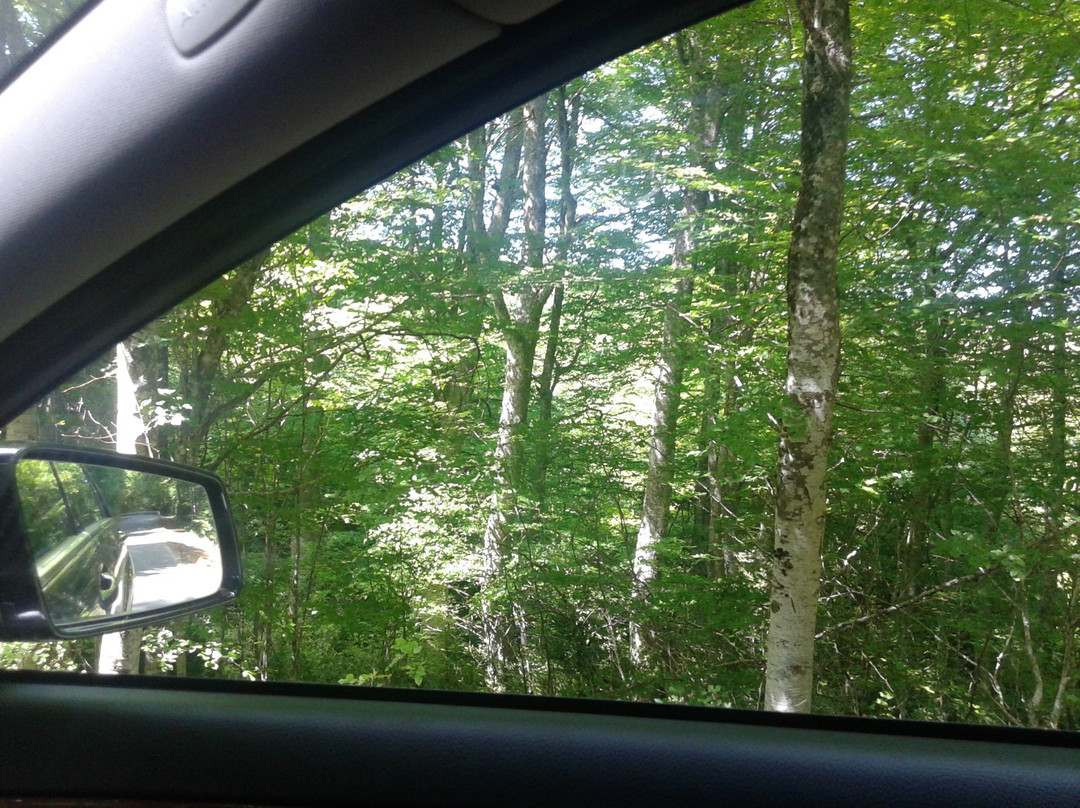 Gran Turismo Rioja-拉瓜迪亚必去景点