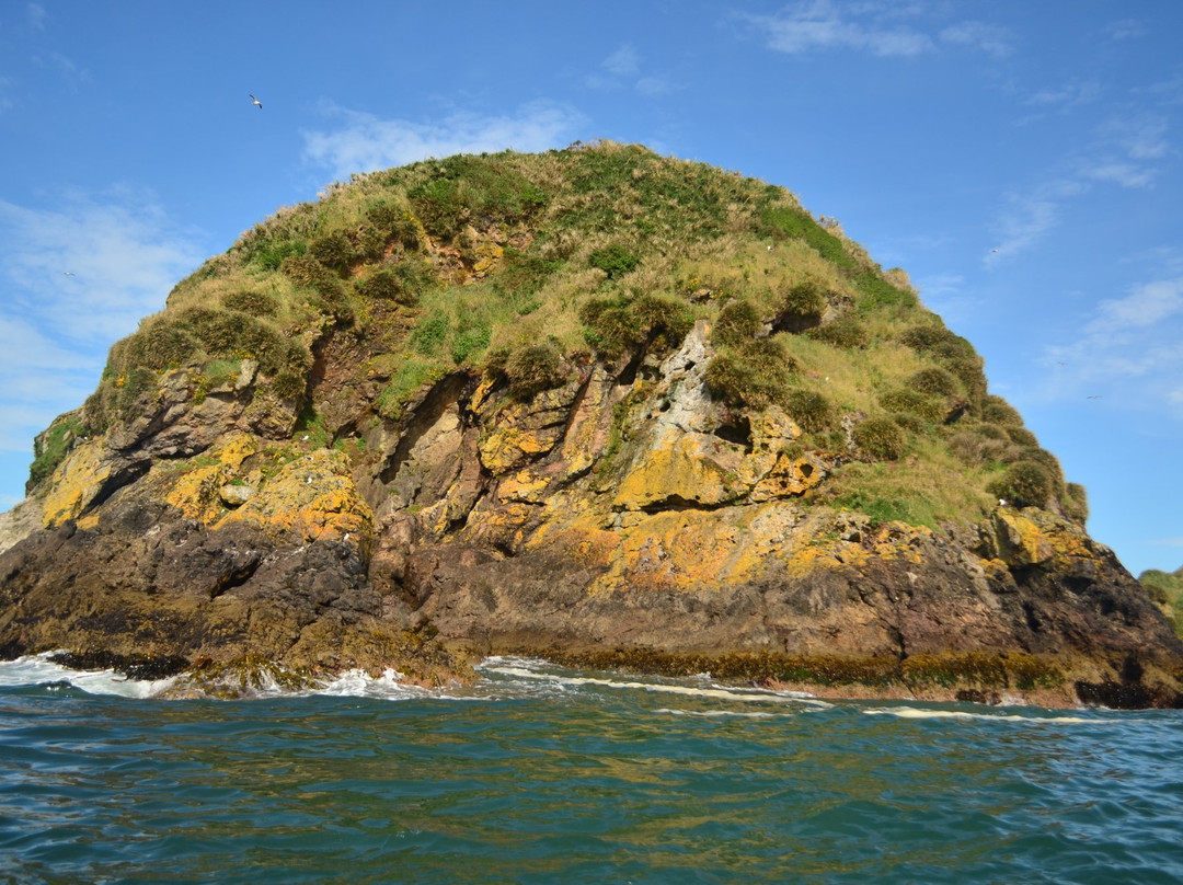 Chiloe Turismo Verde-Ancud必去景点