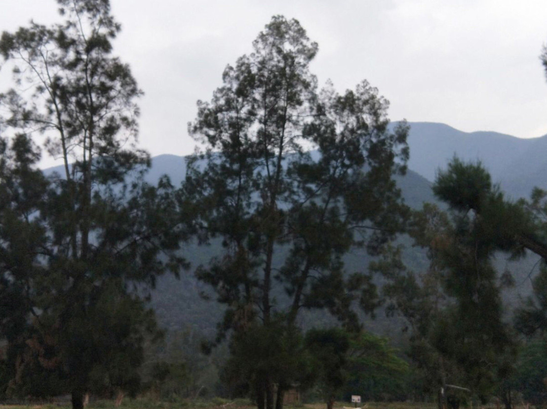 Yala Ranch-Dumbea必去景点