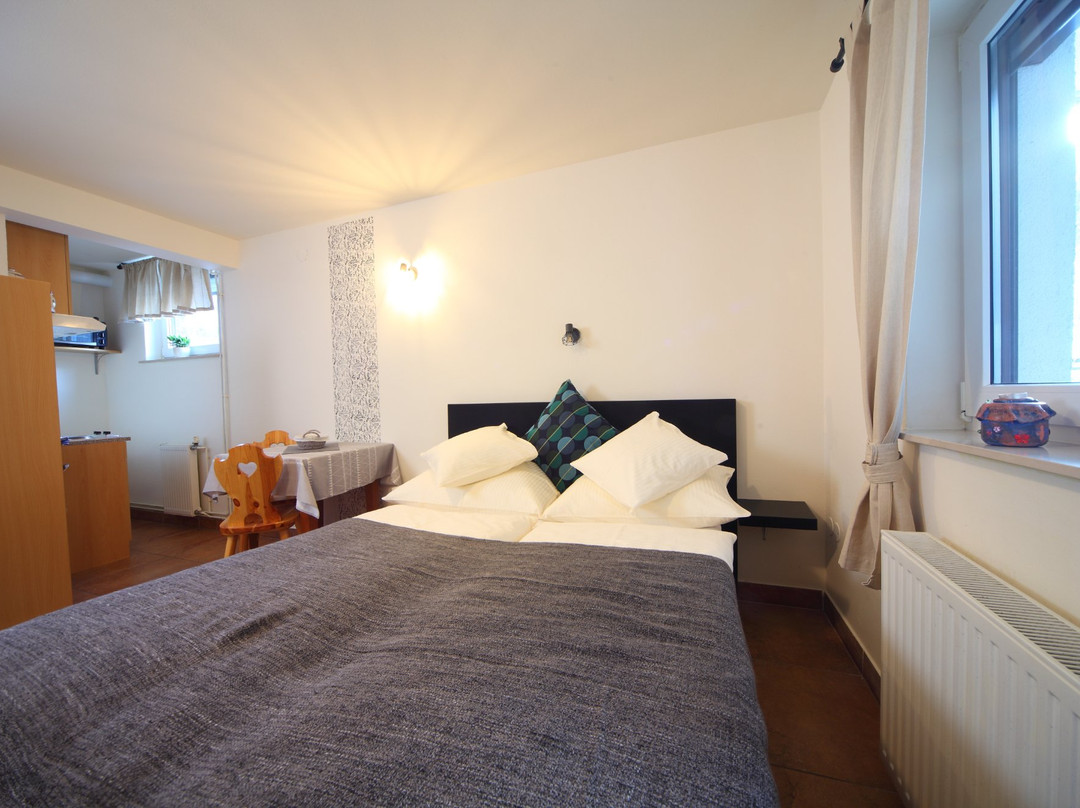 Apartments and Rooms Jozica