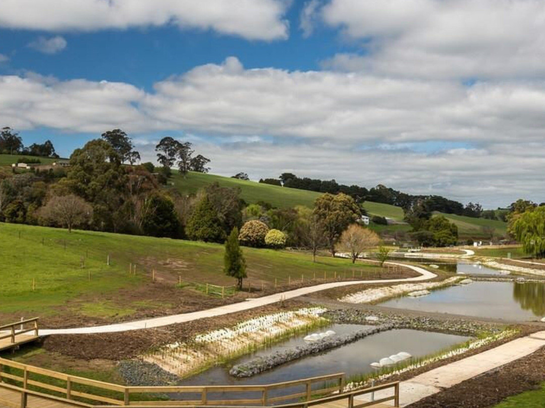 Neerim South Wetlands景点图片